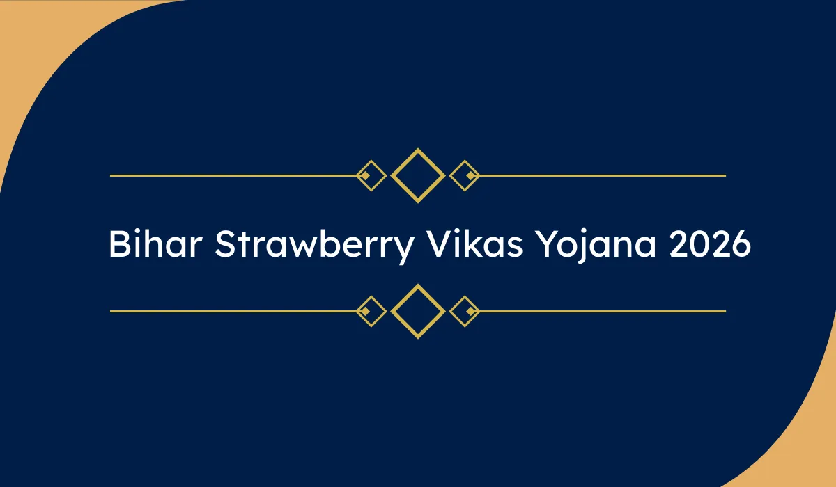 Bihar Strawberry Vikas Yojana 2026 – सरकार दे रही 40% सब्सिडी, अभी करें ऑनलाइन आवेदन