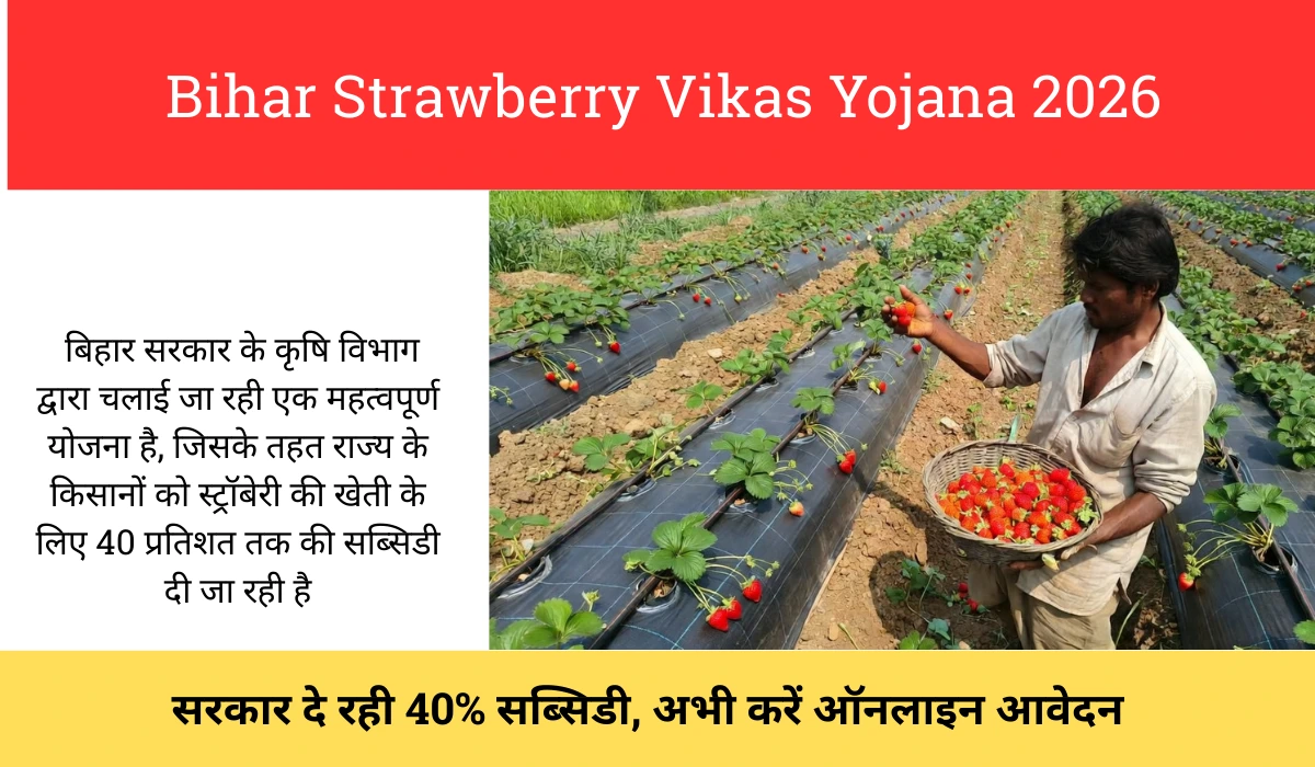 Bihar Strawberry Vikas Yojana 2026